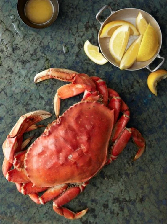 Best Seafood Restaurant in Dubai